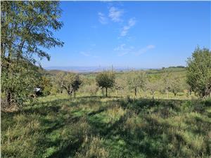 Teren de vanzare langa Saliste zona Bercu sat Gales