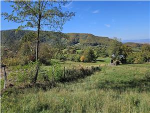 Teren de vanzare langa Saliste zona Bercu sat Gales