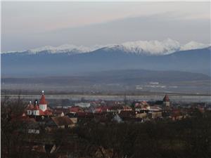 Casa de vanzare in Bradu cu 1300 mp teren